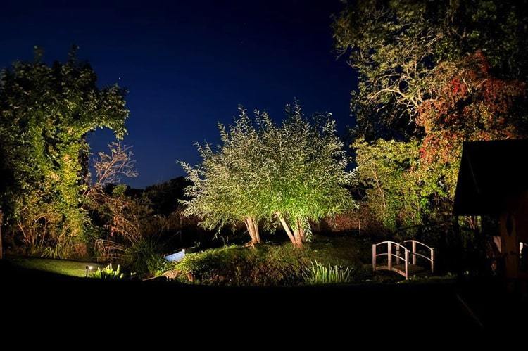 lighting in gardens can highlight featuers and allow you to enjoy your outside spaces more.
